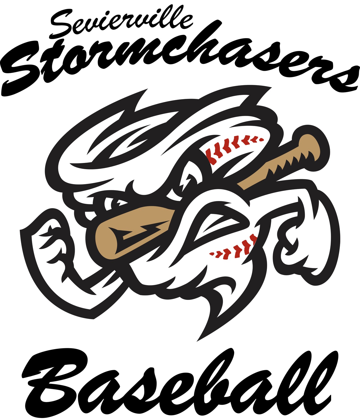 Sevierville Stormchaser Guy