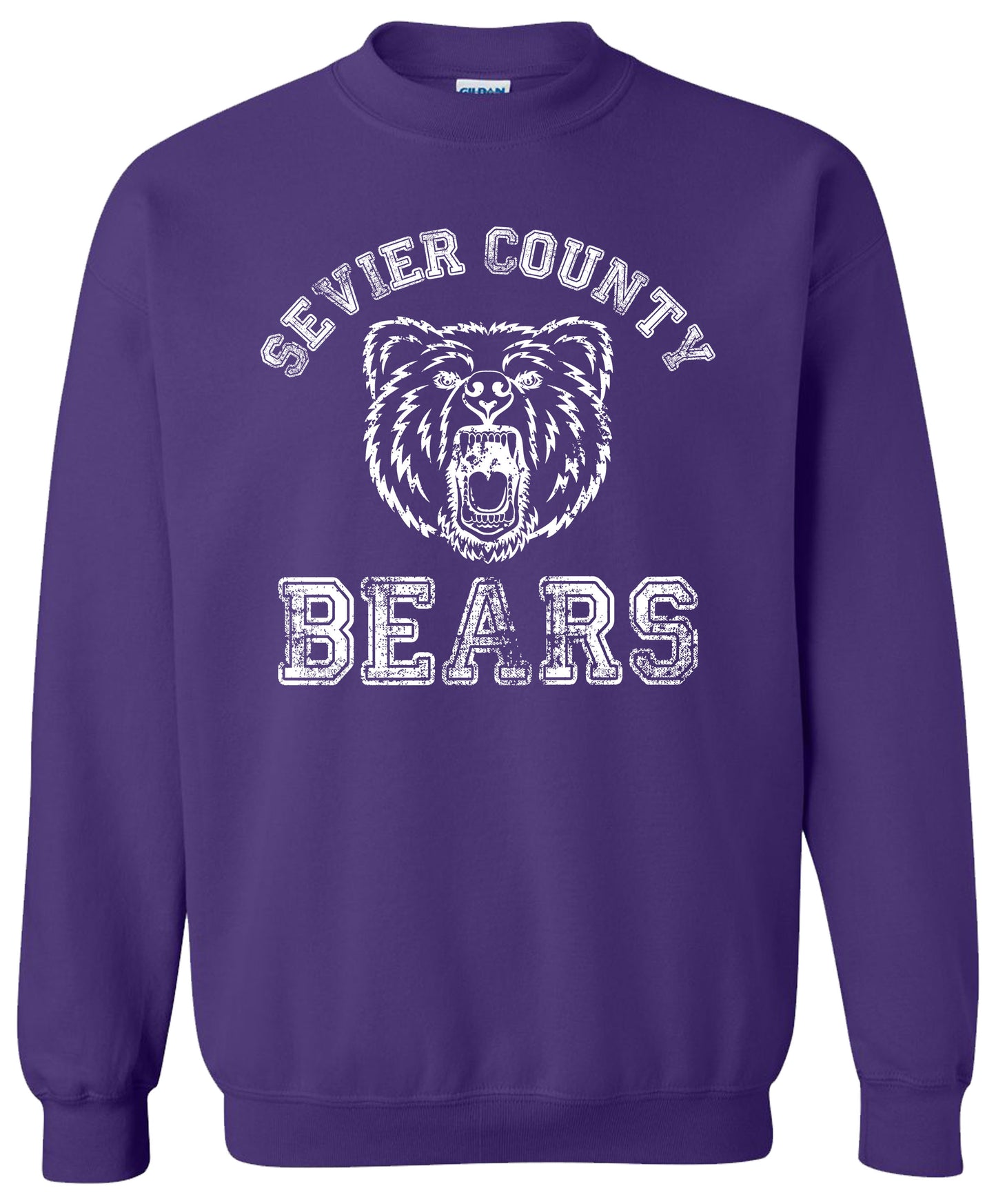 Sevier Co Bears