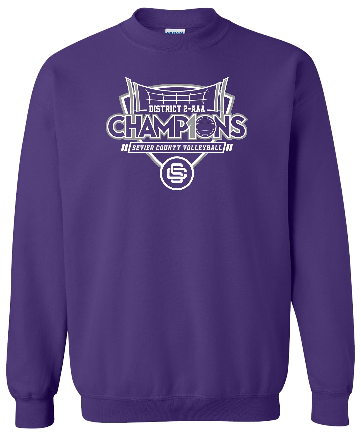 Sevier Co. Volleyball Champions