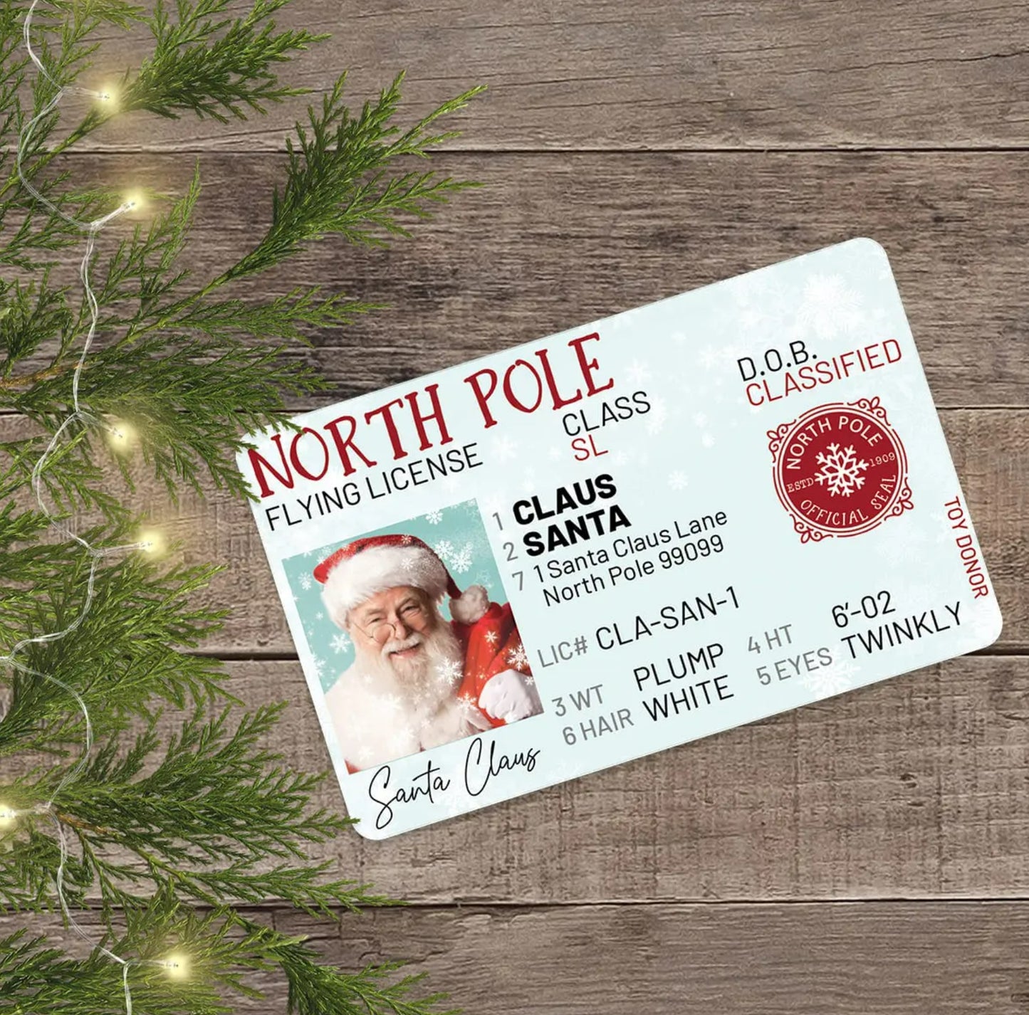 Santa's Flying License