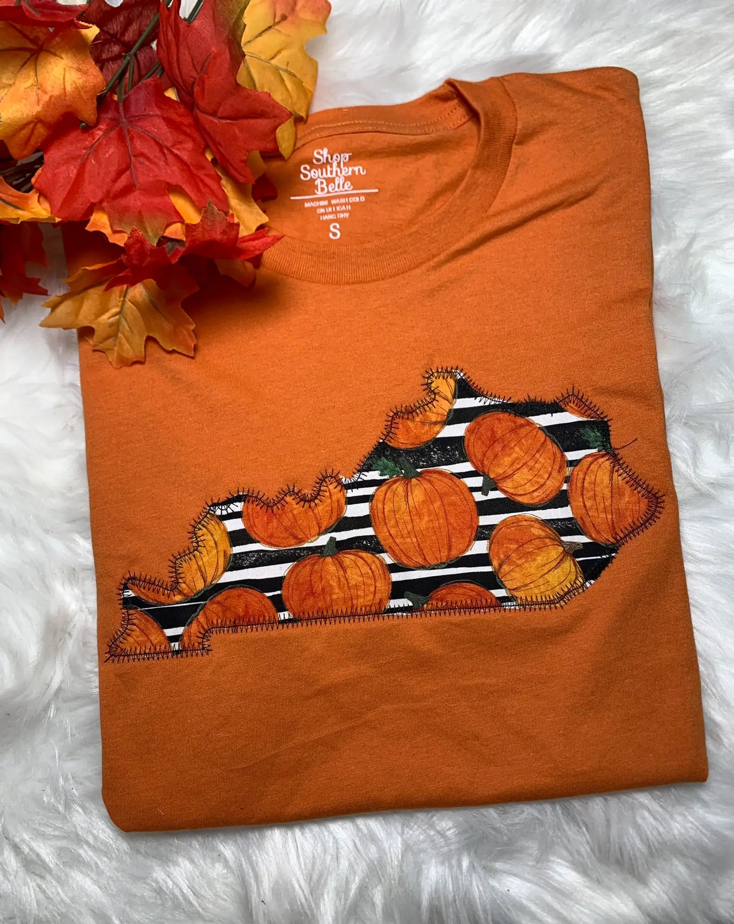 Pumpkin Tennessee Applique