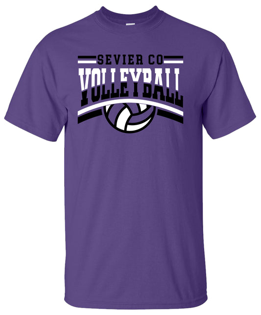 Sevier Co Volleyball