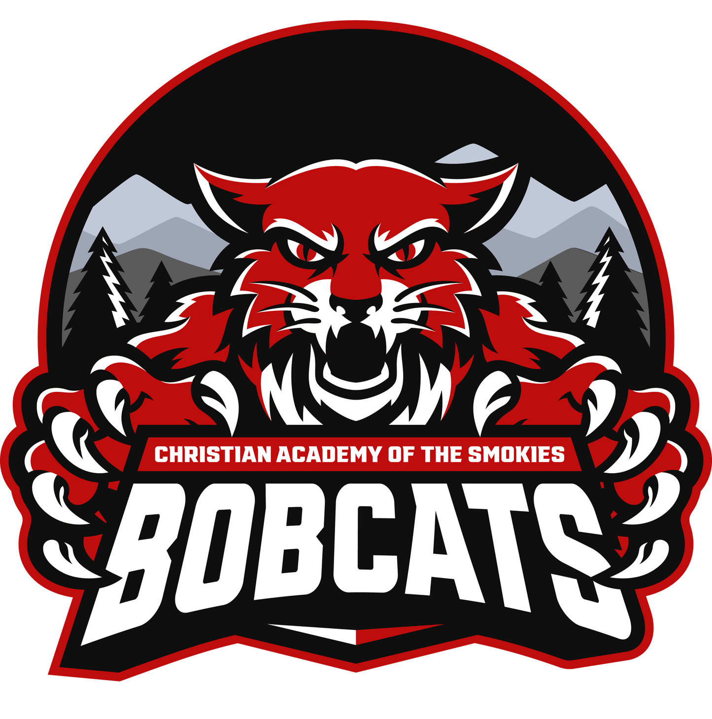 Hooded Tshirt {Dark Mode-2 LoGo}