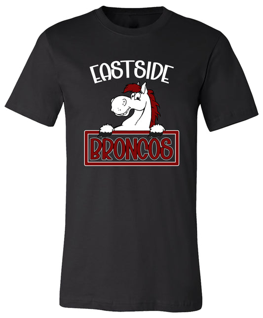 Cute Eastside Bronco