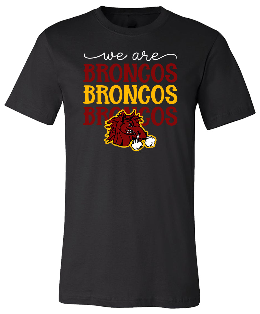 We Are Broncos