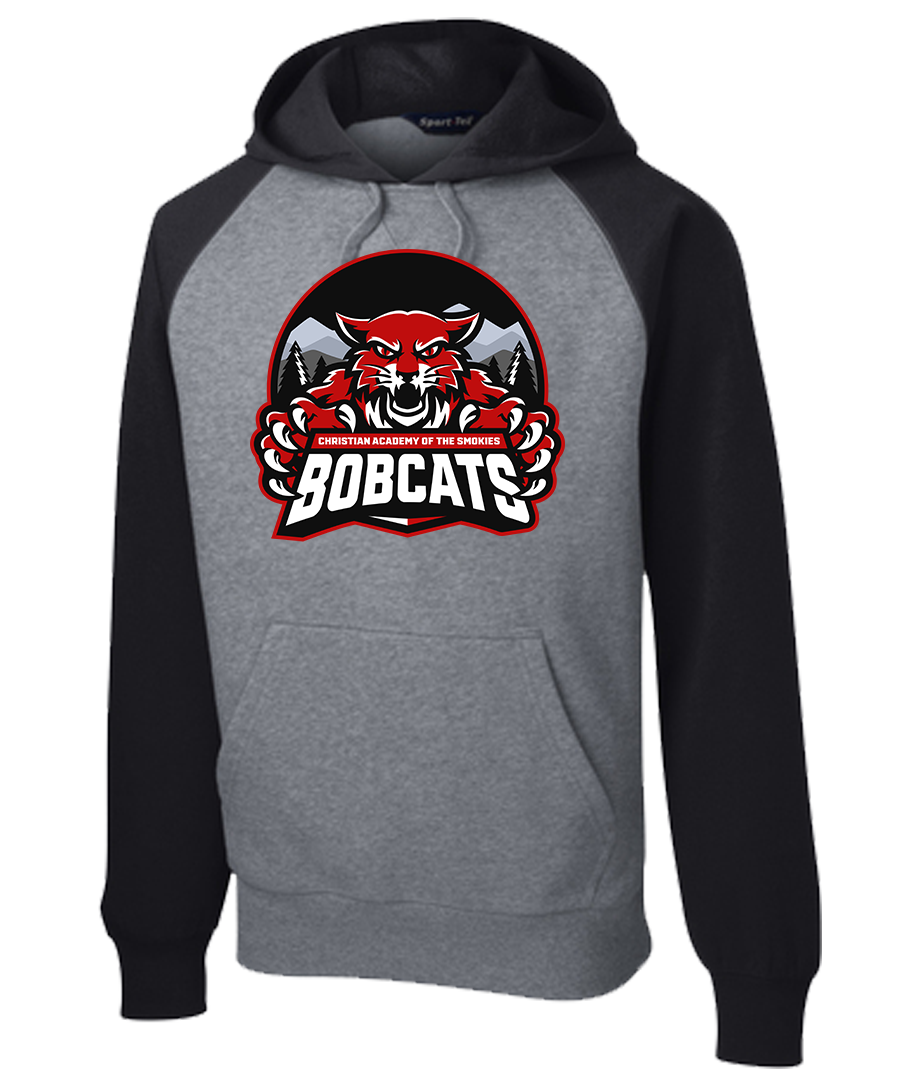 Hoodie Colorblock {Dark Mode-2 LoGo}