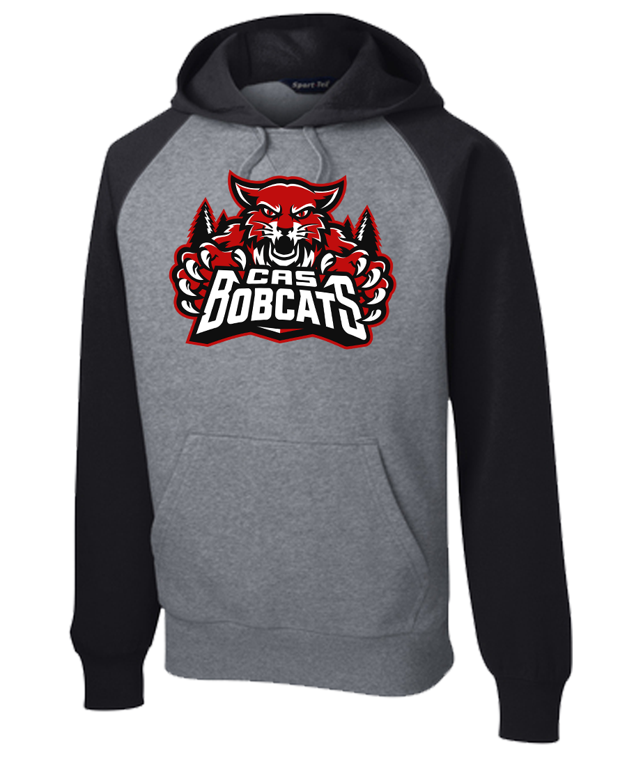 Hoodie Colorblock {ALT LoGo}