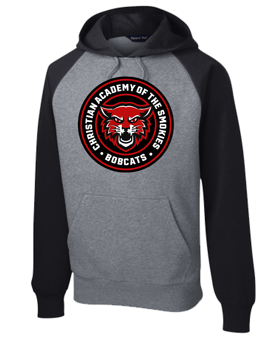 Hoodie Colorblock {Circle LoGo}