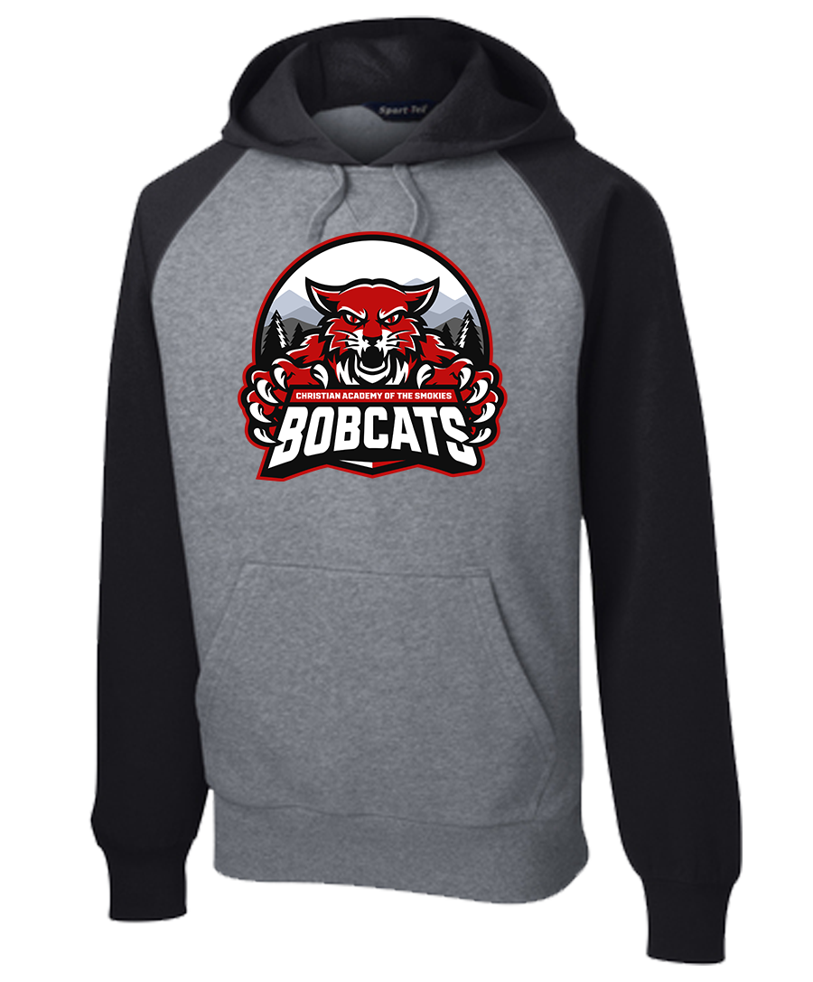 Hoodie Colorblock {Main-2 LoGo}