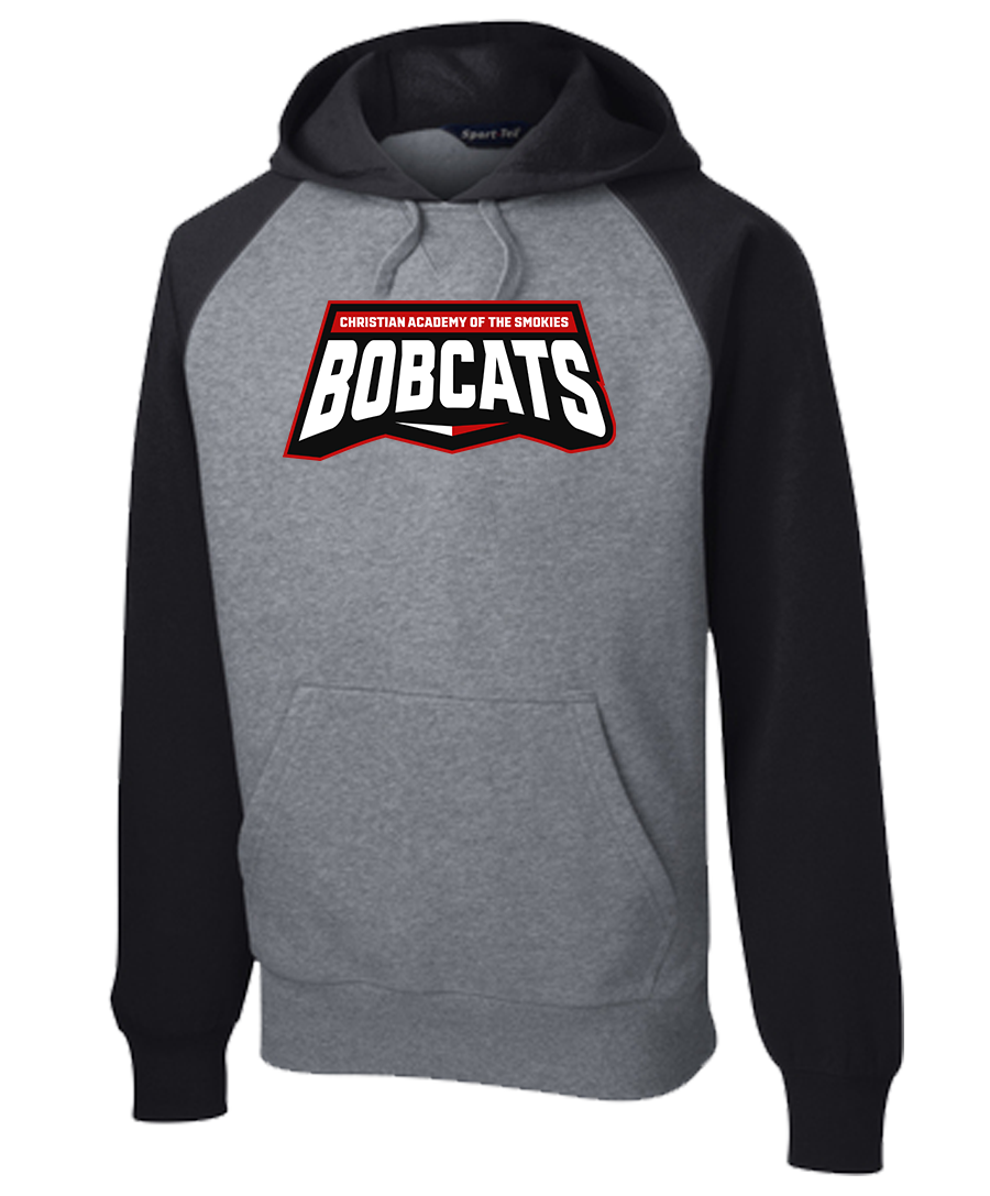 Hoodie Colorblock {Text-2 LoGo}