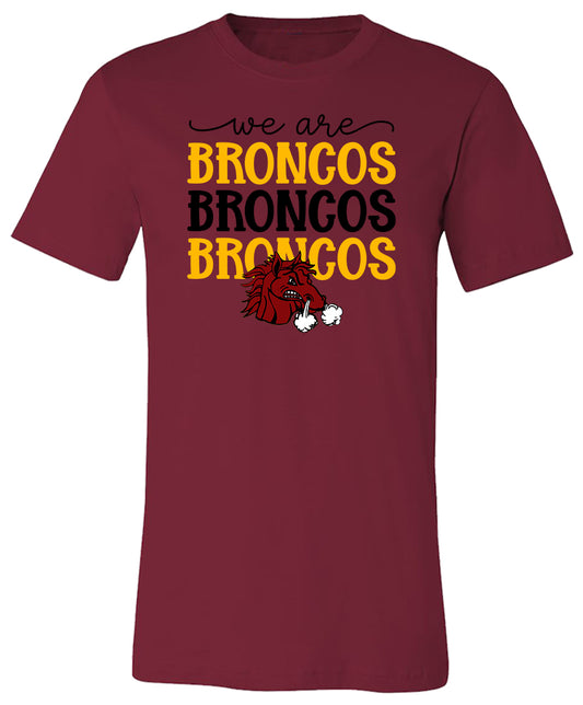 We Are Broncos