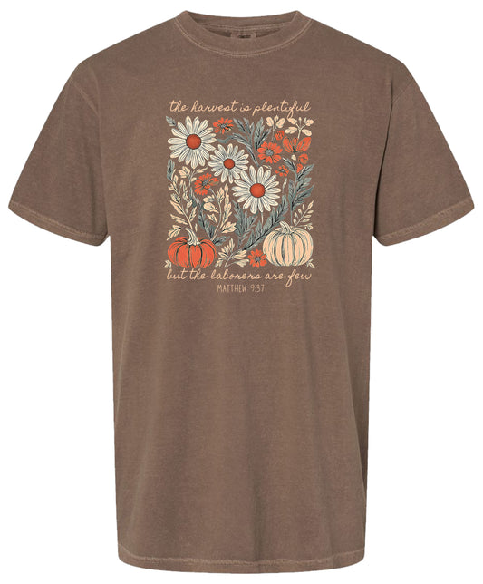 Harvest is Plentiful