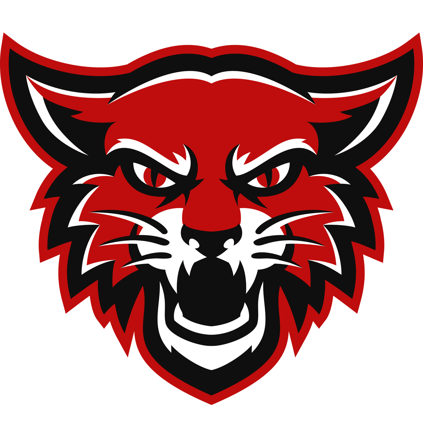 Football Jersey Tee {Head Mascot LoGo}