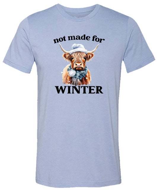 Highland Cow Not Made for Winter