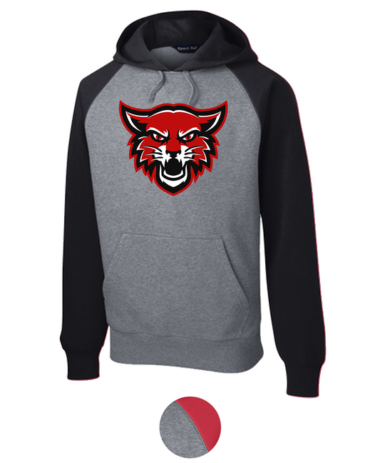 Hoodie Colorblock {Main LoGo}