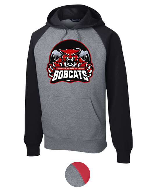 Hoodie Colorblock {Dark Mode-2 LoGo}