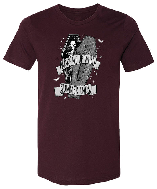 Wake Me When Summer Ends