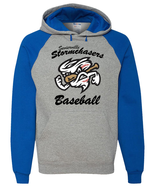 Sevierville Stormchaser Guy