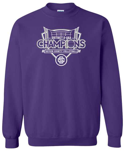 Sevier Co. Volleyball Champions