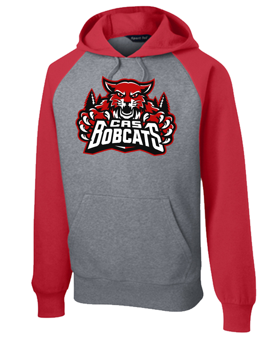 Hoodie Colorblock {ALT LoGo}