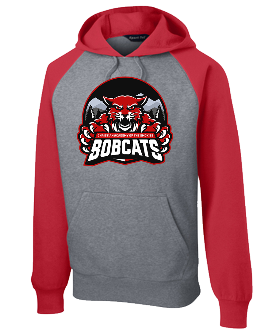 Hoodie Colorblock {Dark Mode-2 LoGo}