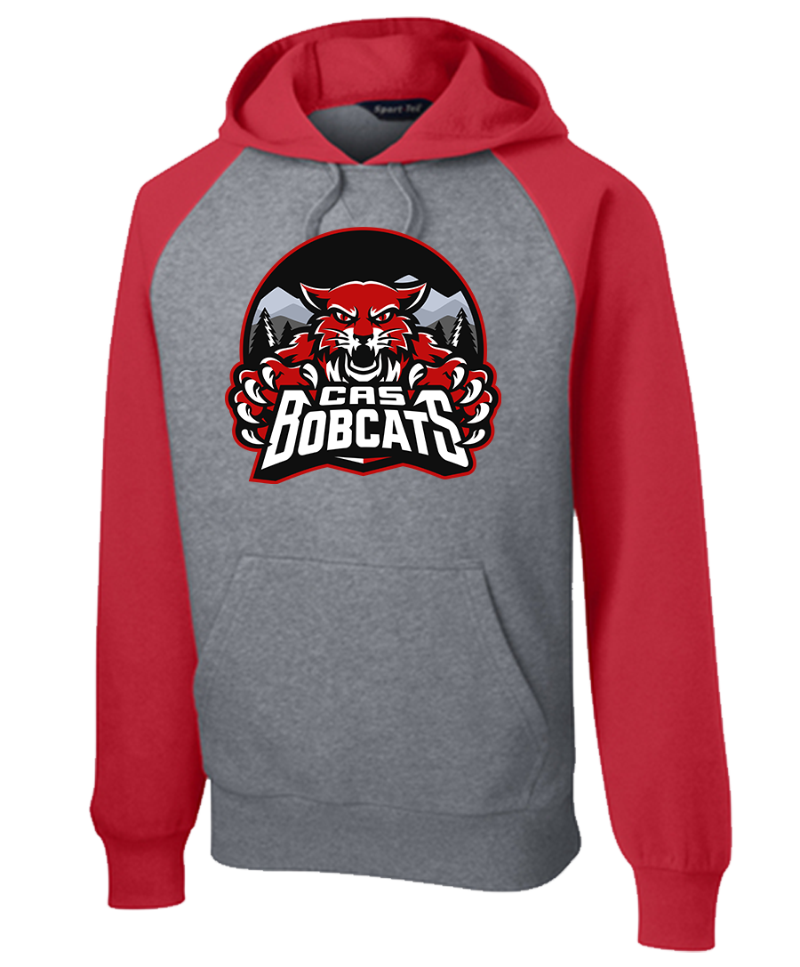 Hoodie Colorblock {Dark Mode LoGo}