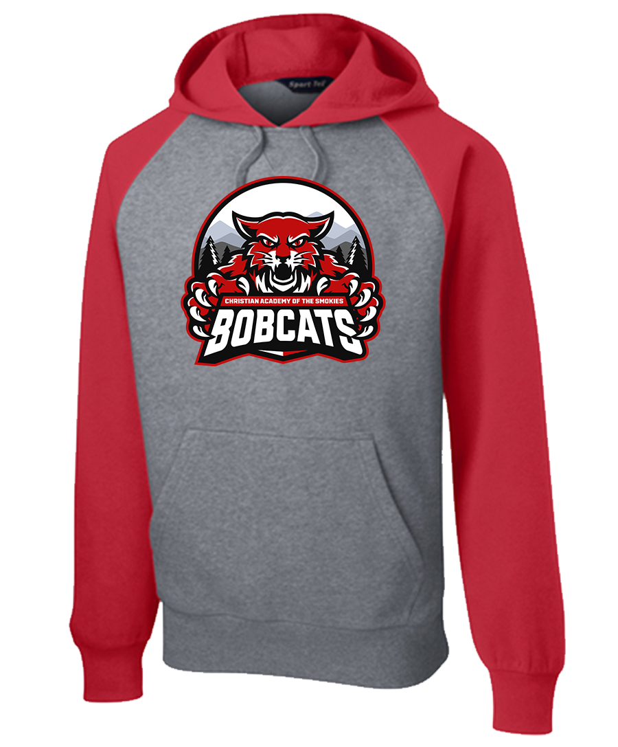 Hoodie Colorblock {Main-2 LoGo}