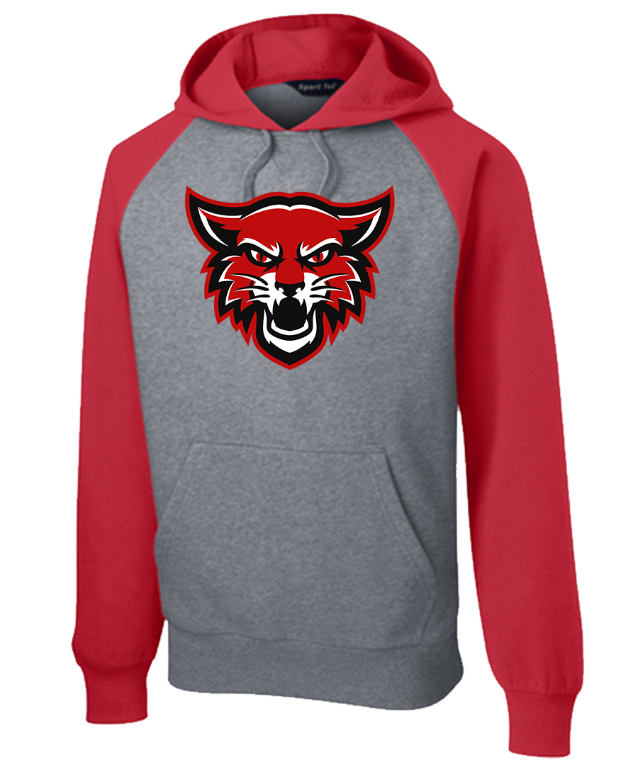 Hoodie Colorblock {Main LoGo}