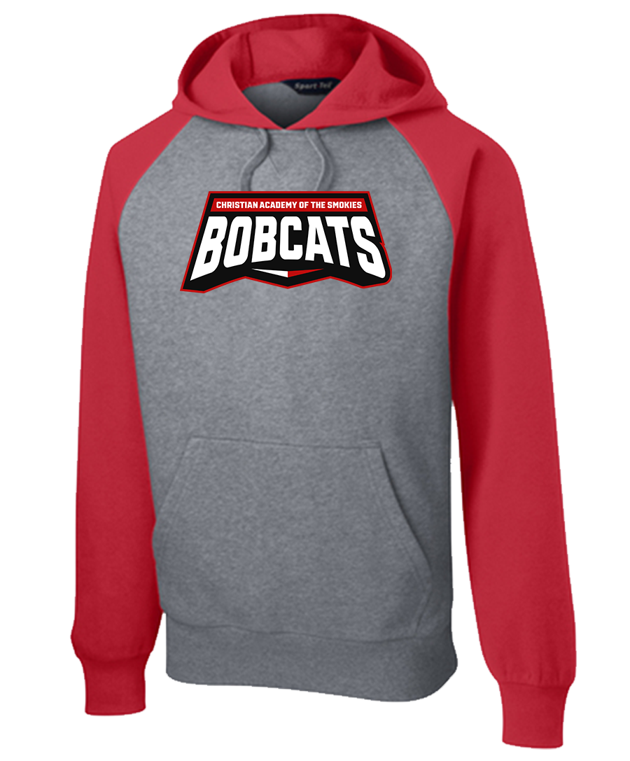 Hoodie Colorblock {Text-2 LoGo}