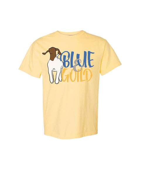 Blue & Gold