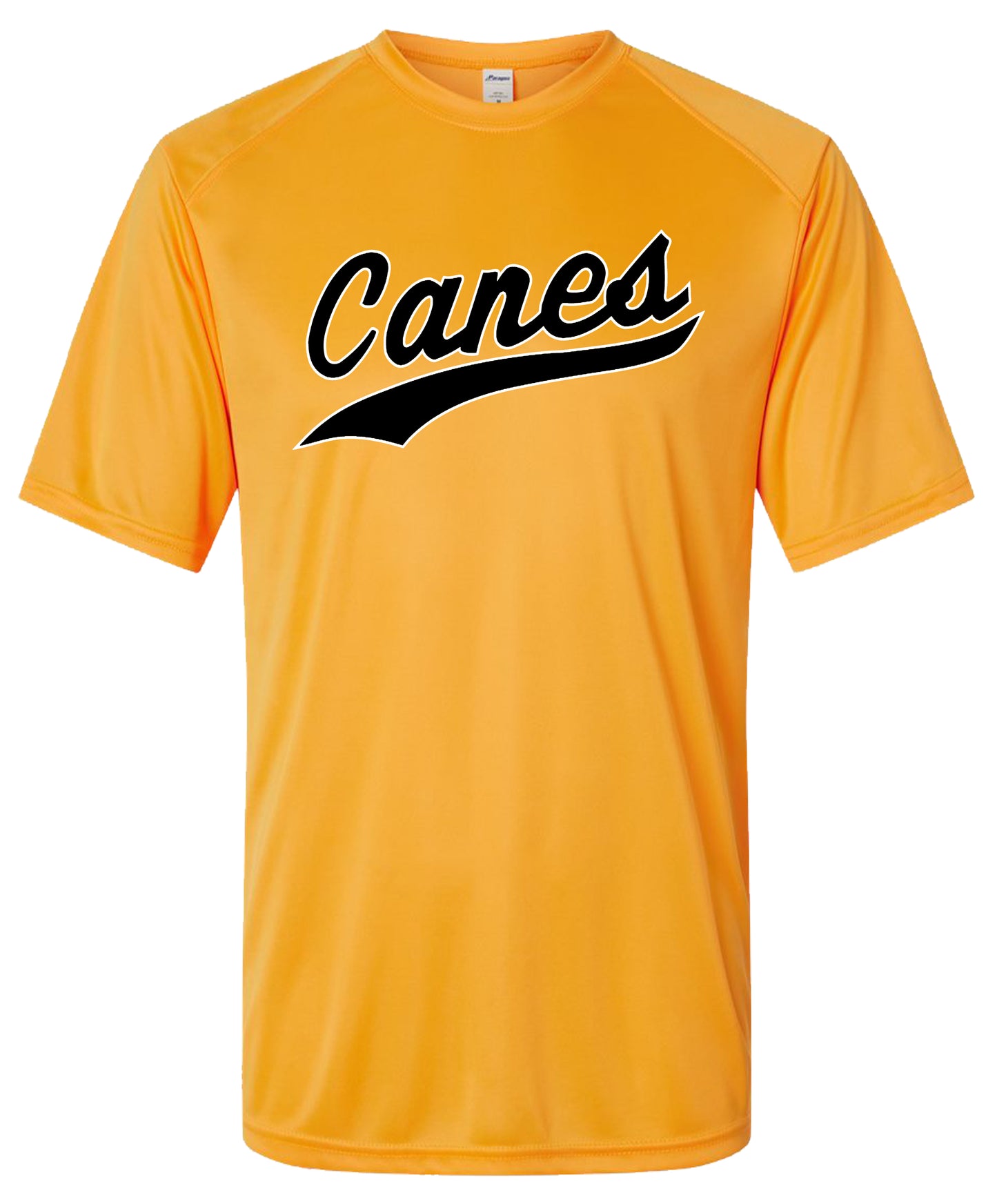 Canes Jersey