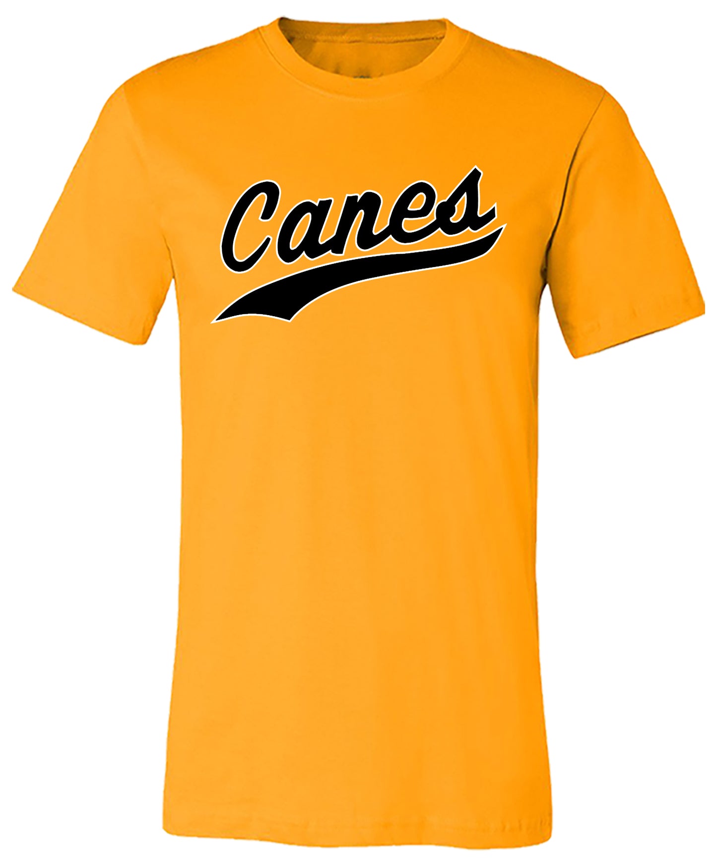 Canes Jersey