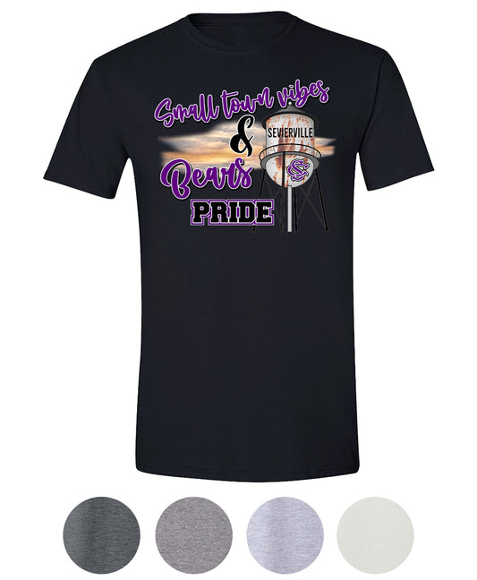 Small Town Vibes - SC Bears