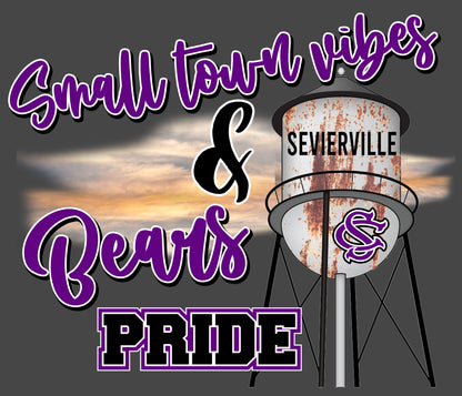 Small Town Vibes - SC Bears